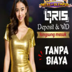 Panduan Lengkap Bermain Slot Online untuk Pemula